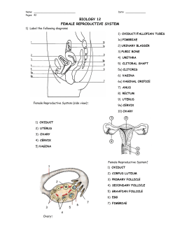 BIOLOGY 12 FEMALE REPRODUCTIVE SYSTEM