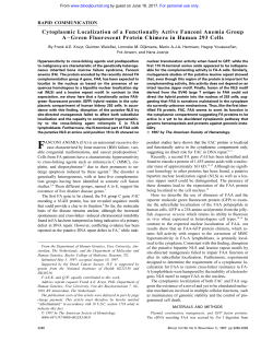 Cytoplasmic Localization of a Functionally Active