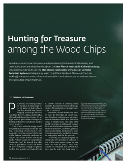 among the Wood Chips - Max-Planck