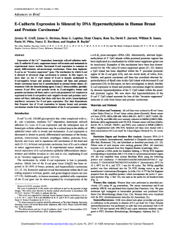 E-Cadherin Expression Is Silenced by DNA