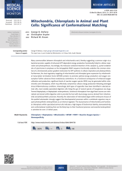 Mitochondria, Chloroplasts in Animal and Plant Cells: Significance
