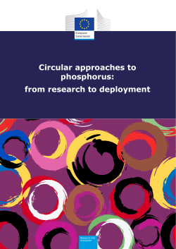 Circular approaches to phosphorus: from research to