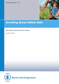 Unveiling Social Safety Nets
