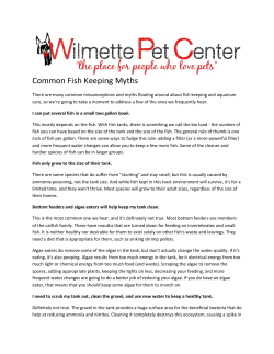 Common Fish Keeping Myths