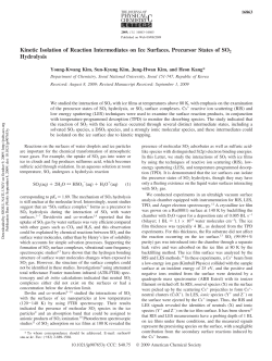 Kinetic Isolation of Reaction Intermediates on Ice Surfaces