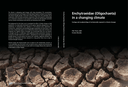 Enchytraeidae (Oligochaeta) in a changing climate