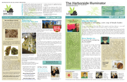 The Harborside Illuminator #1
