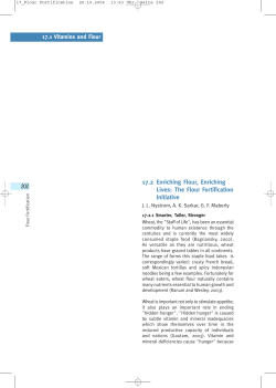 The Flour Fortification Initiative