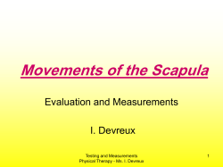 SCAPULAR ABDUCTION AND UPWARD ROTATION: Serratus