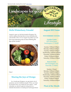 Hello Winterberry Friends! Sharing the Joys of Design August 2012