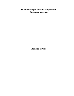 Parthenocarpic fruit development in Capsicum annuum Aparna Tiwari