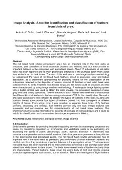 Image Analysis: A tool for identification and classification of feathers