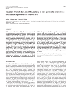 Induction of female Sex-lethal RNA splicing in male germ cells