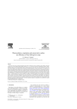 Photosynthesis, respiration and conservative carbon use
