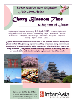 Cherry Blossom Time