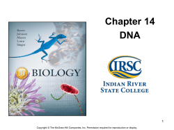Chapter 14 DNA