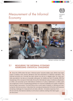 Measurement of the Informal Economy