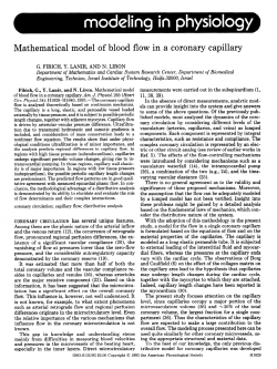 Mathematical model of blood flow in a coronary capillary