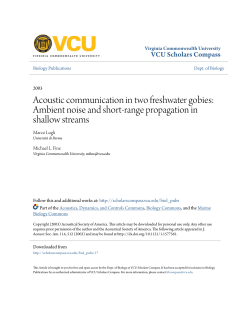 Acoustic communication in two freshwater gobies: Ambient noise