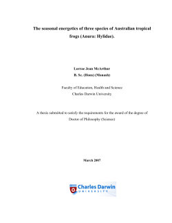 The seasonal energetics of three tropical species of Australian frogs