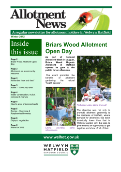 Allotment News (Winter 2012)