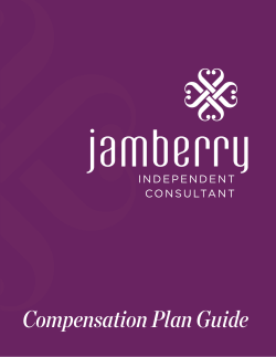 Jamberry Compensation Plan