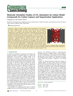 Molecular Simulation Studies of CO2 Adsorption by