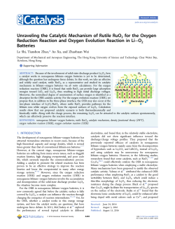 Unraveling the Catalytic Mechanism of Rutile