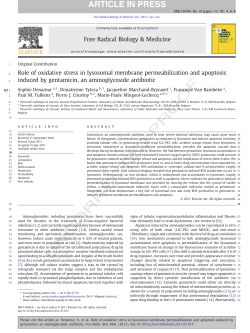 Role of oxidative stress in lysosomal membrane