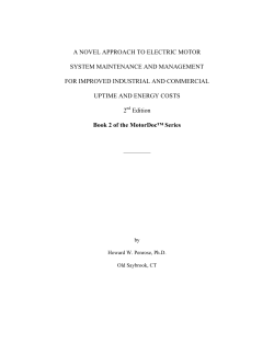 Electric Motor Management Manual