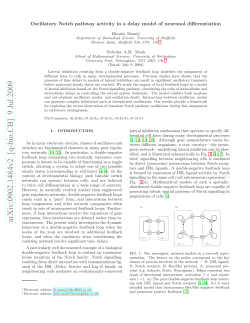 Oscillatory Notch pathway activity in a delay model of neuronal