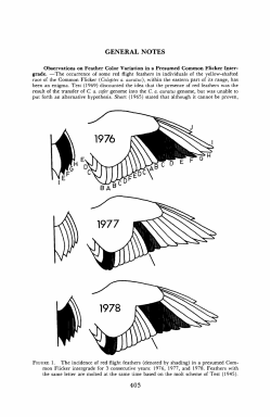 Observations on Feather Color Variation in a Presumed Common