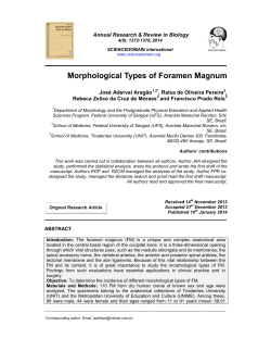 Morphological Types of Foramen Magnum
