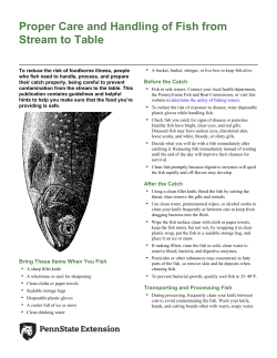 Proper Care and Handling of Fish from Stream to Table
