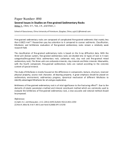 Paper Number: 890 - American Geosciences Institute