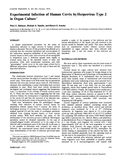 in Organ Culture - Cancer Research