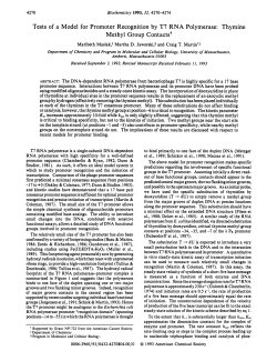 Tests of a Model for Promoter Recognition by T7 RNA Polymerase