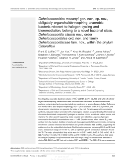 Dehalococcoides mccartyi gen. nov., sp. nov., obligately