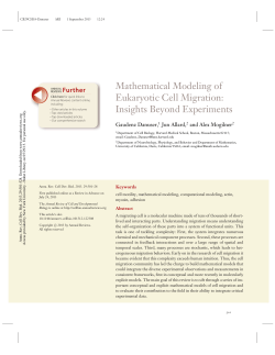 Mathematical Modeling of Eukaryotic Cell Migration