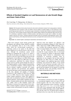 Effects of Aerated Irrigation on Leaf Senescence at Late Growth