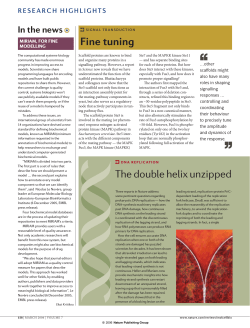 The double helix unzipped Fine tuning