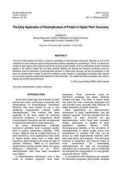 The Early Application of Electrophoresis of Protein in Higher Plant