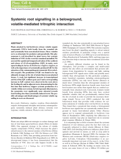 Systemic root signalling in a belowground, volatilemediated