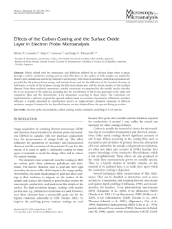 Effects of the Carbon Coating and the Surface Oxide Layer in