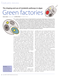 Pg00_00 Green factories BioJUN09.indd - BIAM