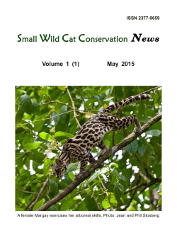 Small Wild Cat Conservation News - Small Cat Conservation Alliance