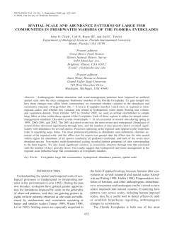 spatial scale and abundance patterns of large fish communities