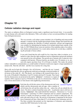 Chapter 12 Cellular radiation damage and repair
