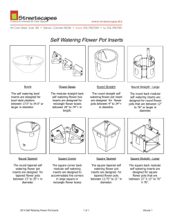 Self Watering Flower Pot Inserts.pages