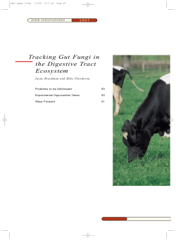 Tracking Gut Fungi in the Digestive Tract Ecosystem